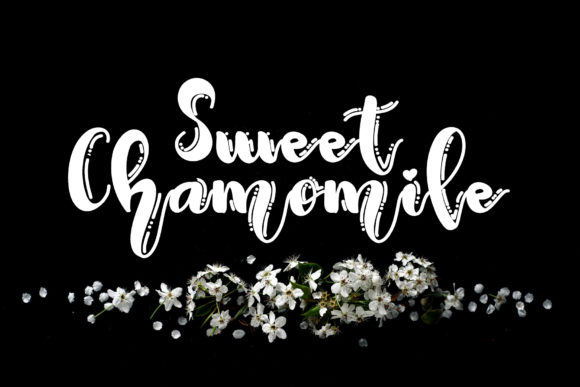 Sweet Chamomile: A Display Font That Adds Quiet Confidence to Your Brand